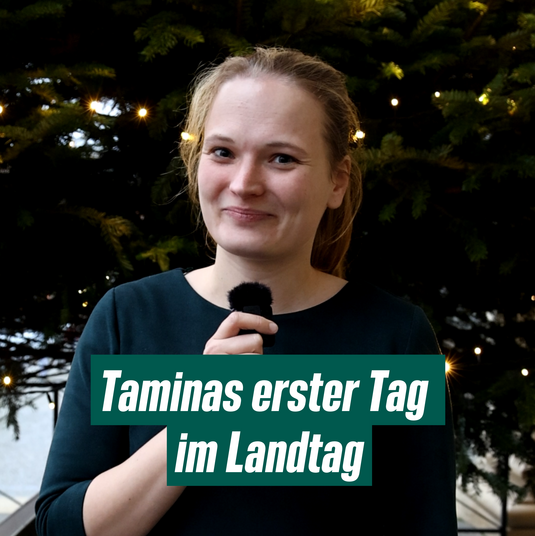 Auf dem Bild ist Tamina Reinecke lächelnd mit einem Mikrofon in der Hand vor einem Weihnachtsbaum zu sehen. Darunter steht in weißer Schrift auf dunkelgrünem Hintergrund "Taminas erster Tag im Landtag"